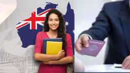 Benefits of Choosing a Local MARA Agent Darwin Over Online Consultants
