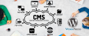 Secure Your Site with WordPress CMS Development Services