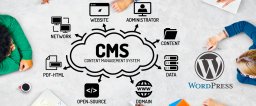 Secure Your Site with WordPress CMS Development Services