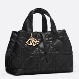 items for an unlimited number of Dior items for per month 