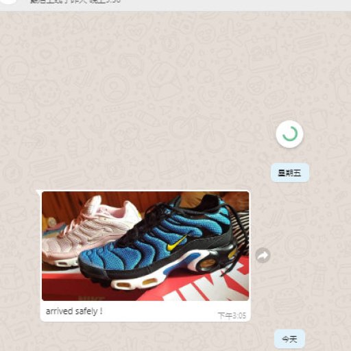 306_1743235755000