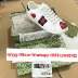 qiqiyg.com shipping records Photo-IMG_5010