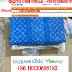 QIQIYG.COM Legit Official IMG_7047
