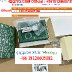 QIQIYG.COM Legit Official IMG_7050