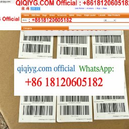 QIQIYG.COM Legit Official IMG_7059.jpg