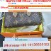 QIQIYG.COM Legit Official IMG_7119