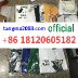 tangma2088.com official Whatsapp-  8618120605182   Famous Wholesale Marketplace- Handbags, Clothes, Shoes 2026 Hotsale Fashion TM05