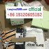 tangma2088.com official Whatsapp-  8618120605182   Famous Wholesale Marketplace- Handbags, Clothes, Shoes 2026 Hotsale Fashion TM09