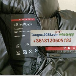 How-to-order-from-qiqiyg.com-tangma2088.com-Official-WhatsApp-8618120605182-QQ031.jpg