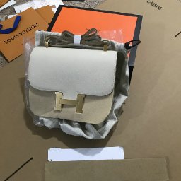 172_1743242105000.jpg