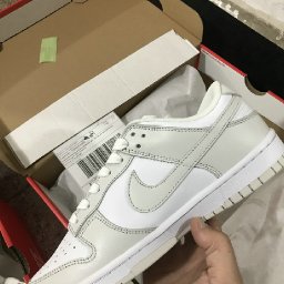 222_1743246406000.jpg
