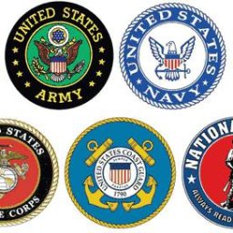 CHECK ON A VET